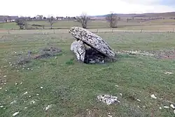 Image illustrative de l’article Dolmen de Drigas