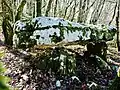 Dolmen dit Pierre de saint-Maximin.