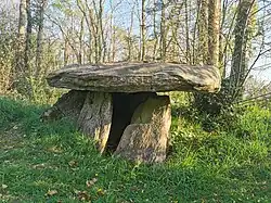 Dolmen de Kerineg, en France