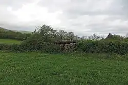 Dolmen de Saint-Amans-de-Varès