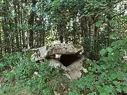 Image illustrative de l’article Cova d'en Rotllan