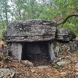 Dolmen de la Pierre-Levée des Pouzols