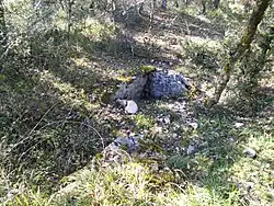 Dolmen de Pierre Levée