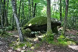 Dolmen du Bois de la Lieue