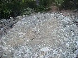 Dalle de couverture.