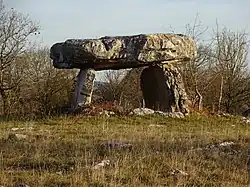 Dolmen du Mas de l'Artillou