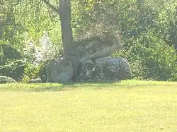 Dolmen du Ver