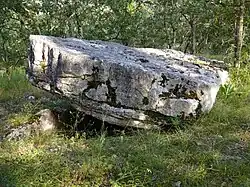 Dolmen des Fourques Basses à Brengues
