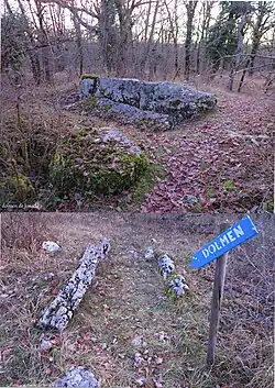 Dolmens de Jonade.