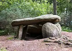 Image illustrative de l’article Dolmen des Follets