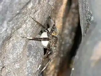 Description de cette image, également commentée ci-après