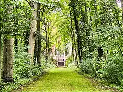 Le mail et l'escalier des gloriettes.