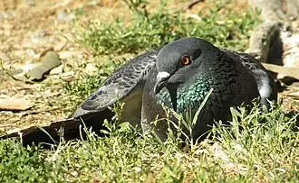 Description de cette image, également commentée ci-après
