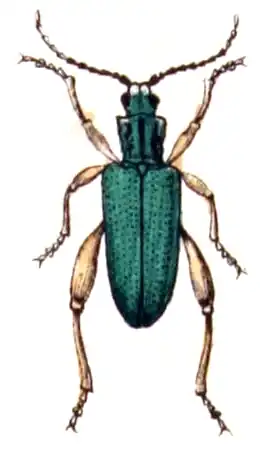 Description de cette image, également commentée ci-après