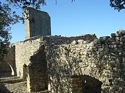 Bergerie et ruine du donjon du XIIIe&nbsp;siècle