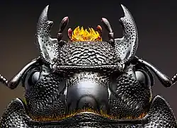 Tête de la femelle, vue de dessus en macrophotographie (focus stacking)