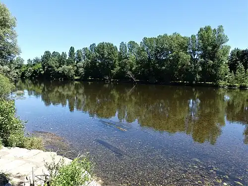 La Dordogne au sud du bourg de Calviac-en-Périgord. À cet endroit, les deux rives font partie du territoire communal.