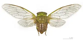 Description de cette image, également commentée ci-après