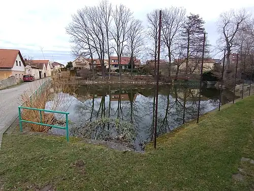 Étang à Doubravice.