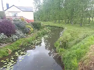 Le Doueff à Mauron.