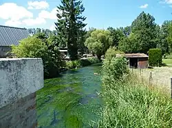 Amont de la rivière Eaulne, pris du pont.