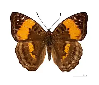 Description de cette image, également commentée ci-après