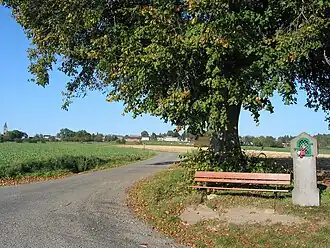 Le tilleul Notre-Dame de Dréhance.