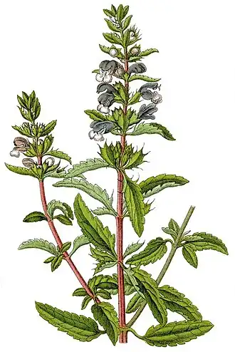 Description de cette image, également commentée ci-après