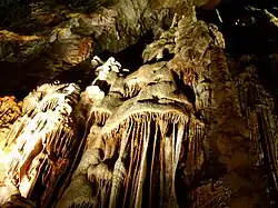 Draperies de calcite blanche en forme de « méduses ».