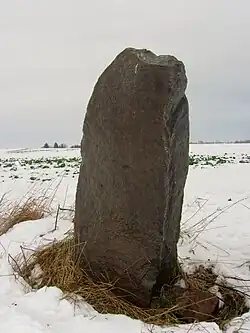 Menhir de Zschoppach.