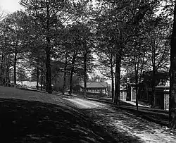 Jardin à l’arrière (1902)