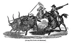 Gravure sur bois montrant des cavaliers et des taureaux.