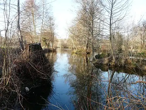 En aval du moulin de Papalis, la Dronne marque la limite entre Ribérac (à gauche) et Allemans.
