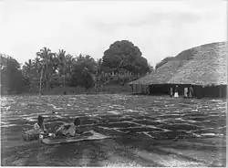 Émondage et séchage au soleil (Tanzanie)