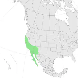 Description de cette image, également commentée ci-après