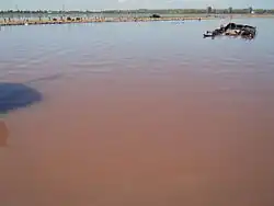 Bloom de Dunaliella salina à l'estuaire de Kuyalnik&nbsp;(en), en Crimée.