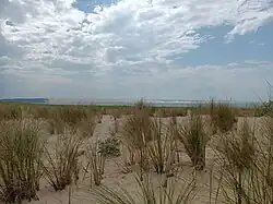 La dune depuis la pointe de Cap Ferret (juin 2025).