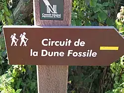 Circuit de Dune Fossile