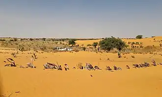 Maïné-Soroa (Niger)