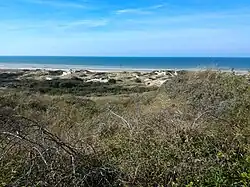 Vue des dunes d'Écault et de la Manche