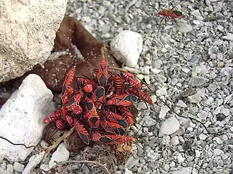 Description de cette image, également commentée ci-après