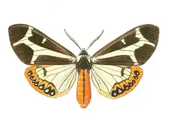 Description de cette image, également commentée ci-après