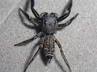 Description de cette image, également commentée ci-après