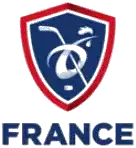 Description de l'image EDF hockey glace.png.