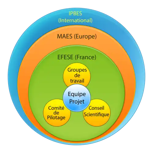 Image représentant le programme EFESE