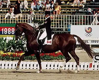 Image illustrative de l’article Eva Maria Pracht