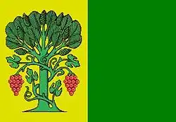 Drapeau de A Pobra do Brollón