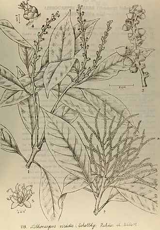 Description de l'image E mei zhi wu tu zhi (1945) (20666699683).jpg.