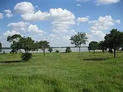 Vue d'une prairie avec des arbres et un lac en arrière-plan.