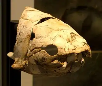 Description de cette image, également commentée ci-après